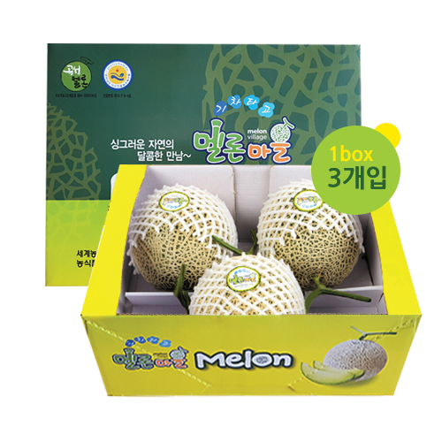 곡성멜론 3수 8kg