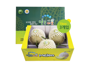 곡성멜론 3수 8kg
