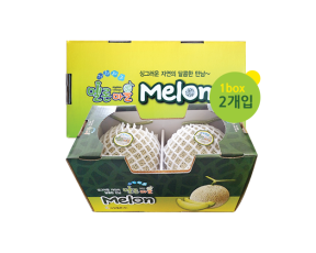 곡성멜론 2입 4kg