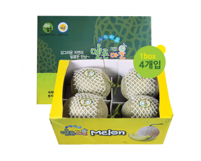 곡성멜론 4수 8kg