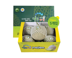 곡성멜론 5수 8kg