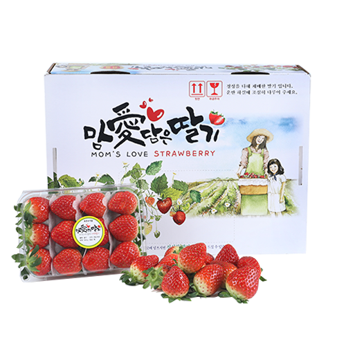 맘愛담은 금실딸기 2Kg